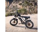 Ridstar 20" 1000W Electric Bike Fat Tire 48V 20Ah Removable Lithium Battery US