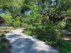 Plot For Sale In Mount Pleasant, South Carolina