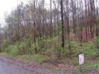 Plot For Sale In Fly Creek, New York