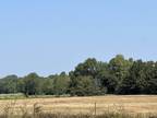 Talco, Titus County, TX Undeveloped Land for sale Property ID: 417433046