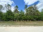 Williston, Levy County, FL Undeveloped Land, Homesites for sale Property ID: