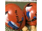 Vintage Hand Painted Wooden Maracas Set Of 2 Made In Mexico Authentic Music Set
