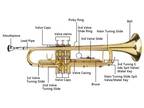 Drop B Tone Adjustable Trumpet Gloves Set Plaint Golden