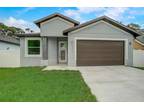 6812 N Orleans Ave, Tampa, FL 33604