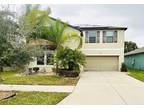 10032 Carloway Hills Dr, Wimauma, FL 33598