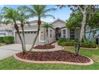 9410 Greenpointe Dr, Tampa, FL 33626