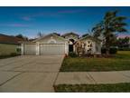 6919 Pine Springs Dr, Wesley Chapel, FL 33545