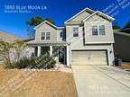 3880 blue moon ln Beaufort, SC