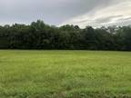 602 WALLACE RD, Gallatin, TN 37066 Land For Sale MLS# 2538996