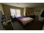 Furnished North Central, North Philadelphia room for rent in 2 Bedrooms