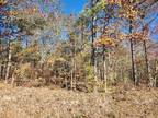 Fortson, Harris County, GA Undeveloped Land for sale Property ID: 418464124