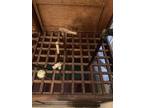 Rare antique oak cane - umbrella display case