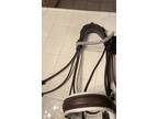 Beautiful Double bridle