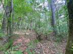 Plot For Sale In Laurel Fork, Virginia