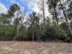 TBD FM 256, Colmesneil, TX 75938 Land For Sale MLS# 209211