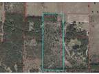 Plot For Sale In Williston, Florida