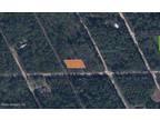 Plot For Rent In Satsuma, Florida