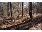 Plot For Sale In Chester, South Carolina