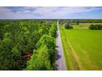 Plot For Sale In Mcalpin, Florida