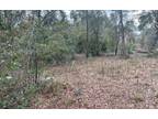 Plot For Sale In Bell, Florida
