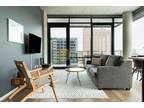 Stylish apartment 2 bedroom plus balcony in Chicago