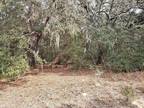 Williston, Levy County, FL Undeveloped Land, Homesites for rent Property ID: