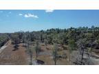 Plot For Sale In Perry, Florida