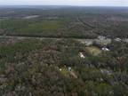 Plot For Sale In Micanopy, Florida