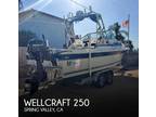 Wellcraft 250 Sportsman Walkarounds 1990