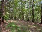 Plot For Rent In Ranger, Georgia