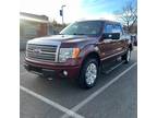 2009 Ford F-150 Platinum - Crewcab 4x4