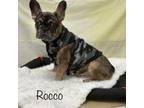 Rocco
