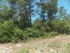 Plot For Sale In Paisley, Florida