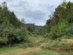 Blue River, Floyd County, KY Undeveloped Land for sale Property ID: 418465262