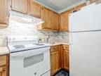Remarkable 1 Bed 1 Bath For Rent $1060/Mo