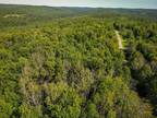 Spencer, Tioga County, NY Undeveloped Land, Homesites for sale Property ID: