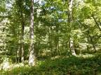 Hot Springs, Bath County, VA Undeveloped Land, Homesites for sale Property ID: