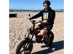 1000W Electric Bikes for Adults Cowboy Style Retro 20" Fat Tire Comfort E-Bike