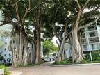 Condo For Sale In Miami, Florida