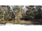 Dunnellon, Citrus County, FL Undeveloped Land, Homesites for sale Property ID:
