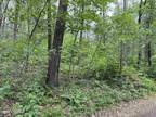 NITTANY MOUNTAIN ROAD, New Columbia, PA 17856 Land For Sale MLS# 20-94311