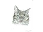 ACEO Original Watercolor Painting 2.5"x3.5" Tabby Kitty Cat Pet Portrait