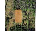 Plot For Sale In Polk City, Florida