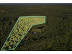 Clyo, Effingham County, GA Undeveloped Land for sale Property ID: 417750525