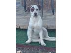 Adopt Patch a Pointer