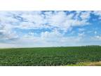 Felton, Clay County, MN Farms and Ranches for auction Property ID: 418012479