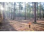 Plot For Sale In Southern Pines, North Carolina