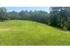 Plot For Sale In Cedar Bluff, Alabama