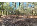 Other, This 0.22 acre lot located in Interlachen