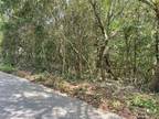 Plot For Sale In Freeport, Florida